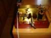 dsc03099_small.jpg