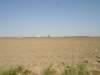 dsc03114_small.jpg