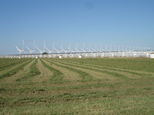 dsc03130.jpg